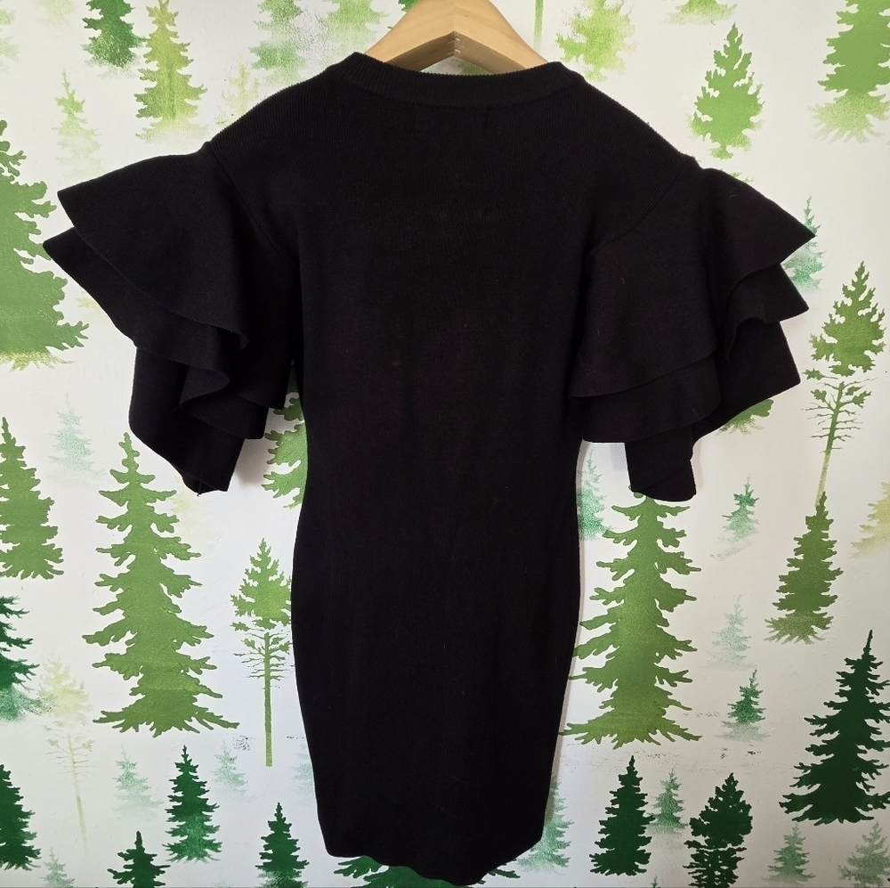 Elegant Black Ruffle Sleeve Mini Dress - Picture 2 of 8